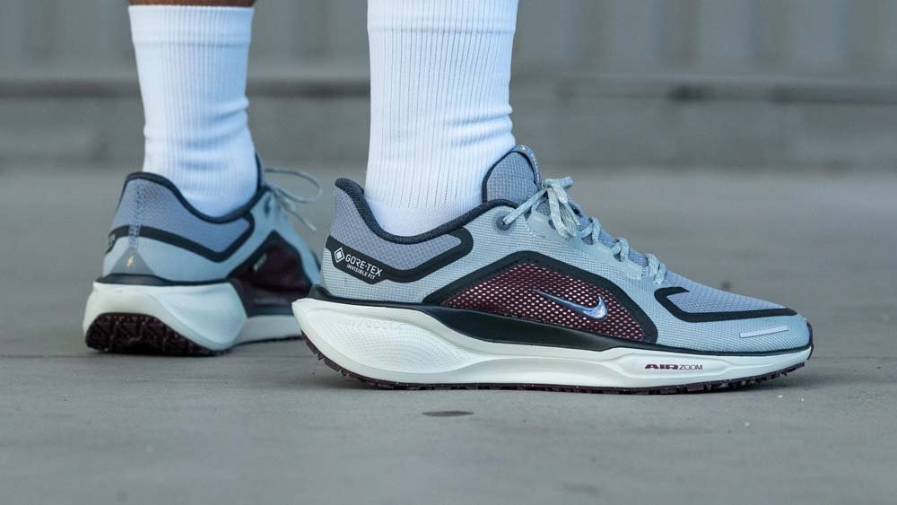 Nike Pegasus 41 Gore-Tex