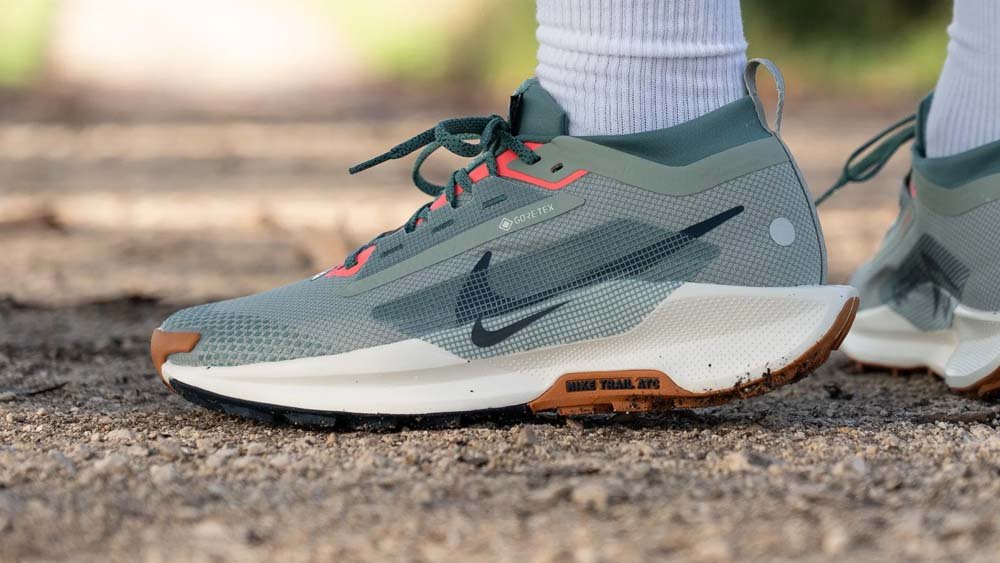 Nike Pegasus Trail 5 GTX